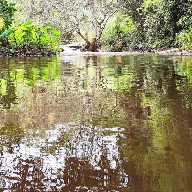 Ooty Lake Boat Ride — Couples and Family Holiday Tamil Nadu
