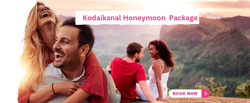 Kodaikanal Honeymoon Candlelight Dinner Resort — Holiday Tour Maker